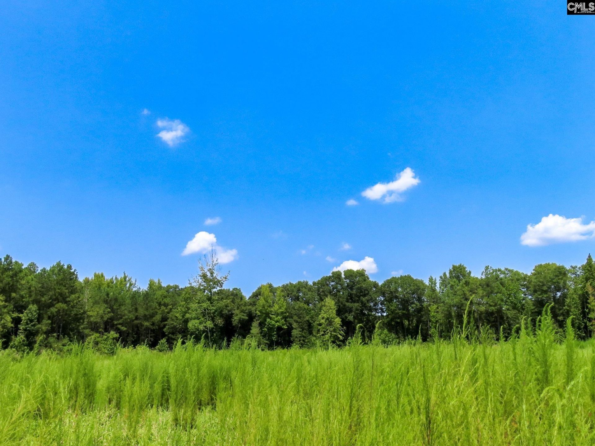 231 Ault Road Photo 77