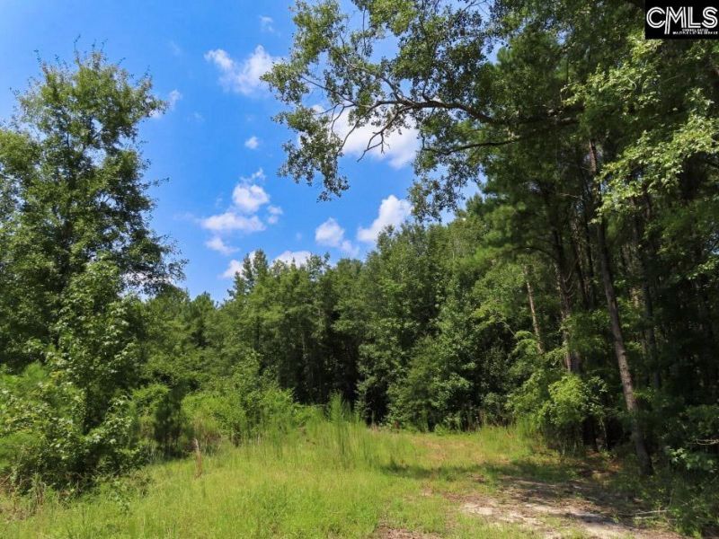 231 Ault Road Photo 78