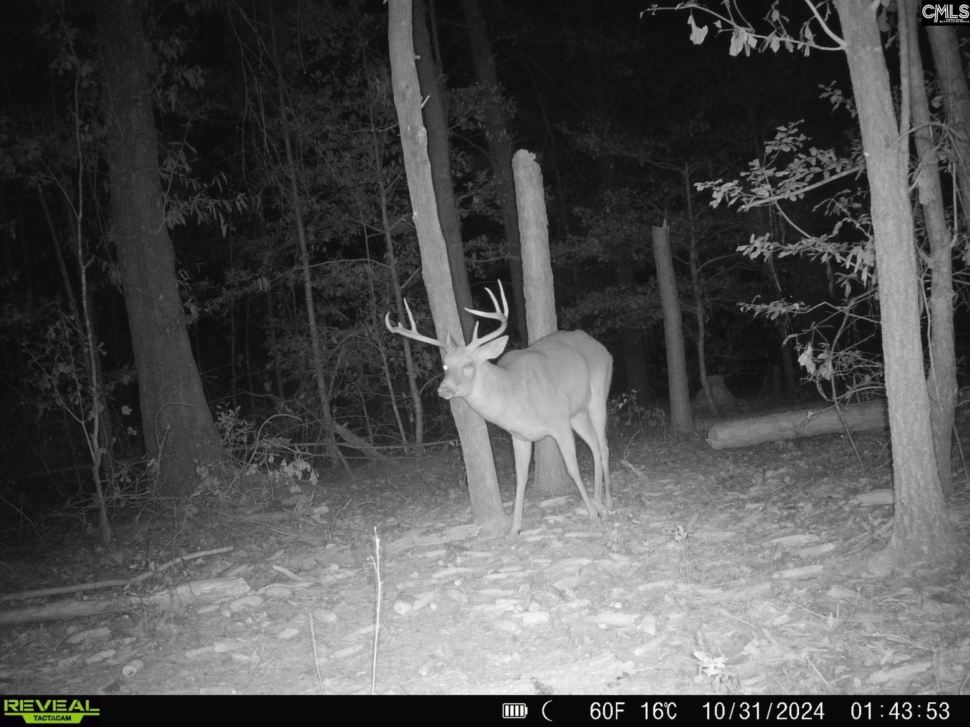 231 Ault Road Photo 8