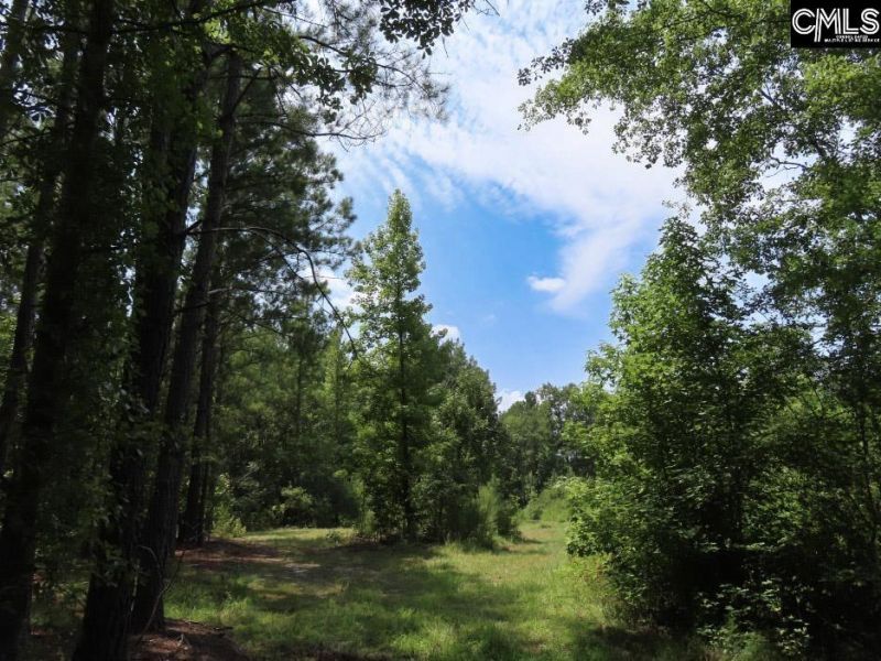 231 Ault Road Photo 81