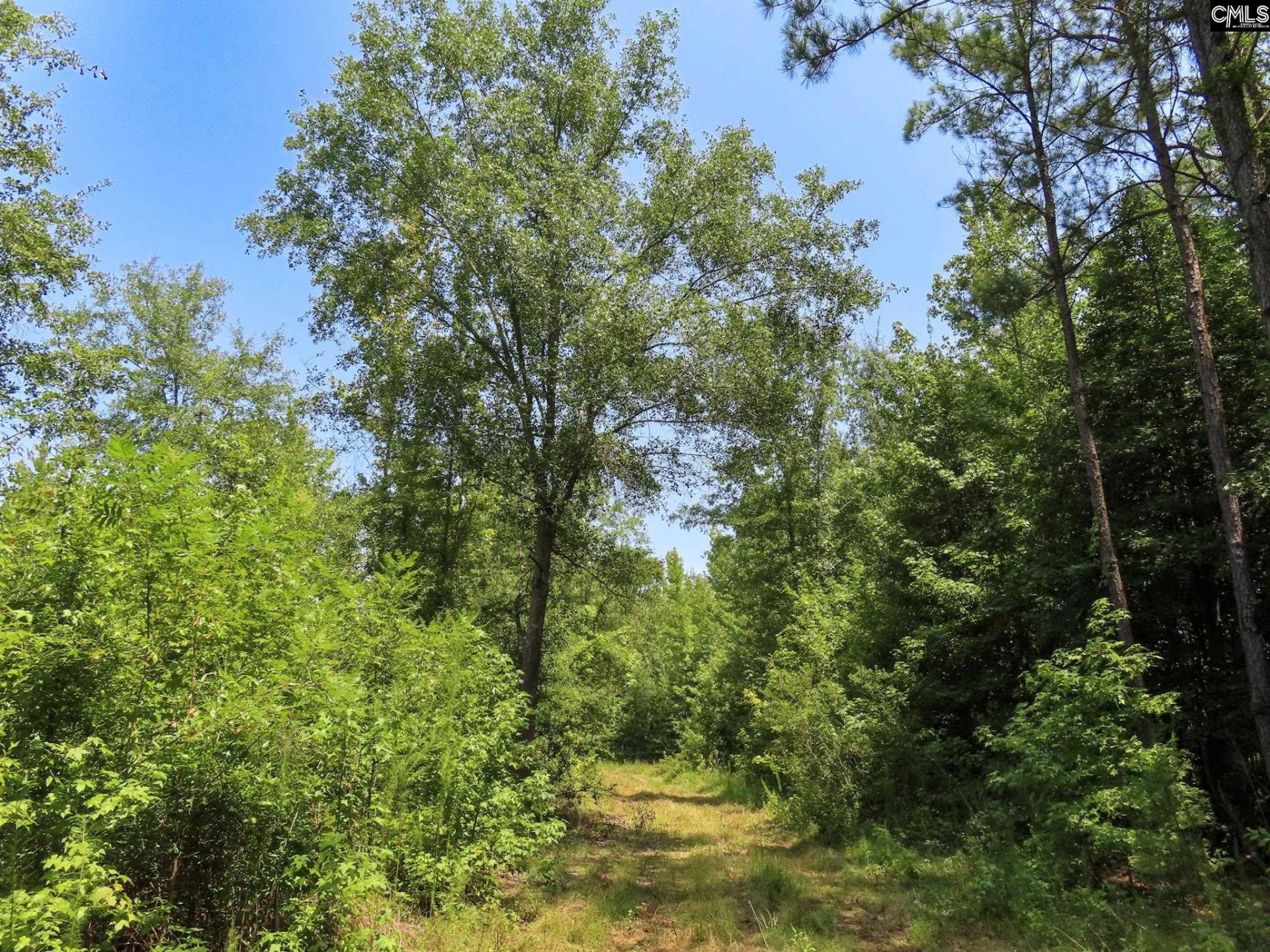 231 Ault Road Photo 84