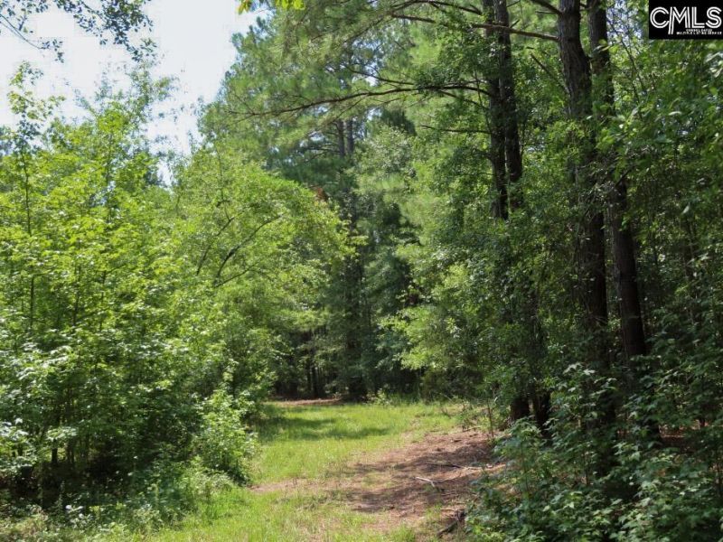 231 Ault Road Photo 85