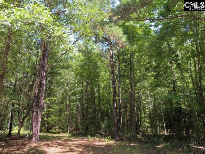 231 Ault Road Photo 87