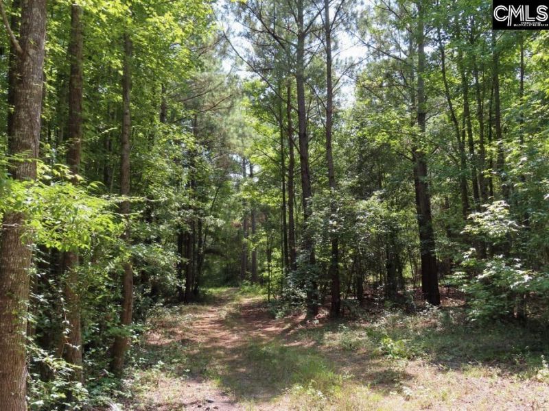 231 Ault Road Photo 89