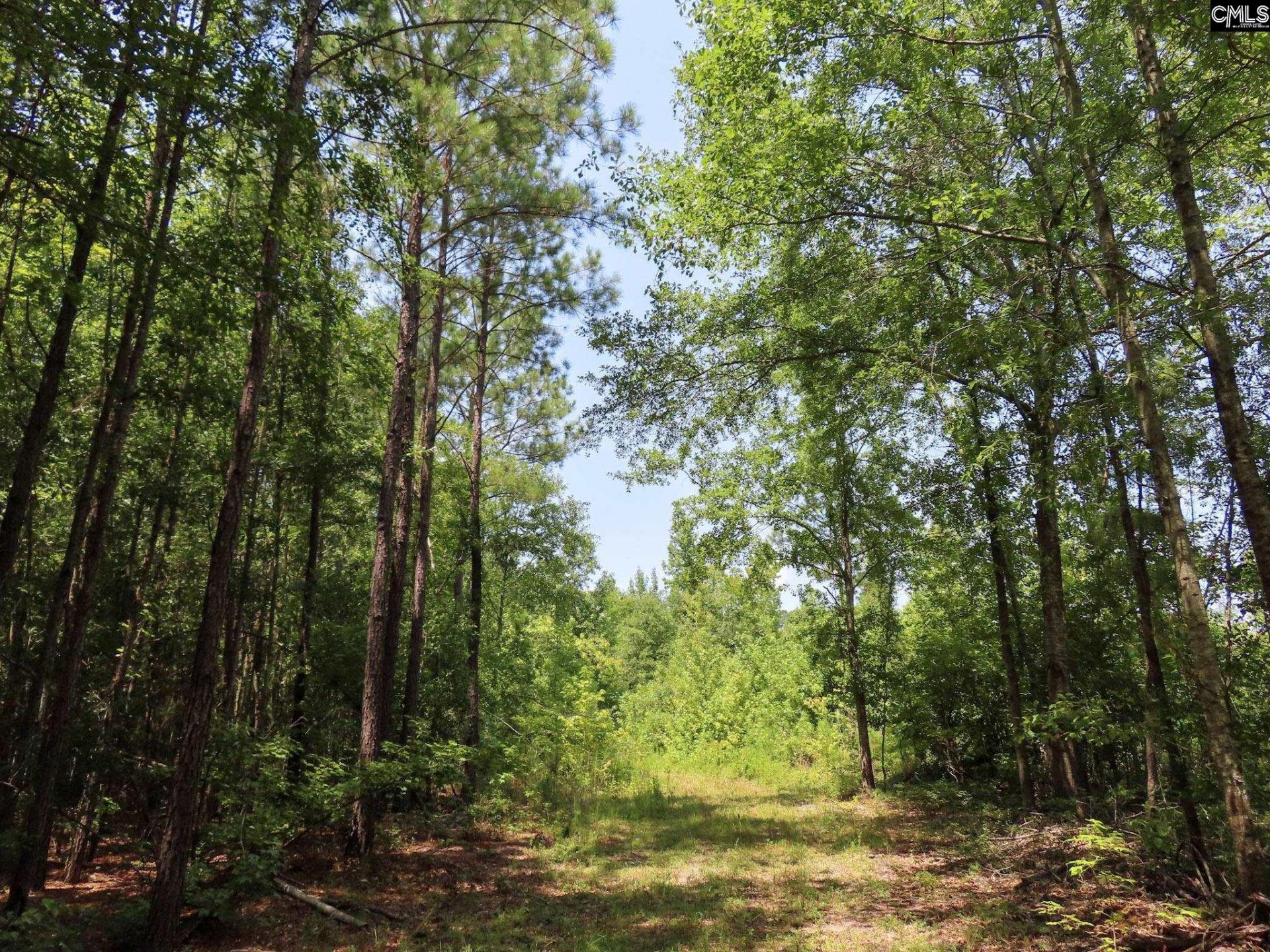 231 Ault Road Photo 90