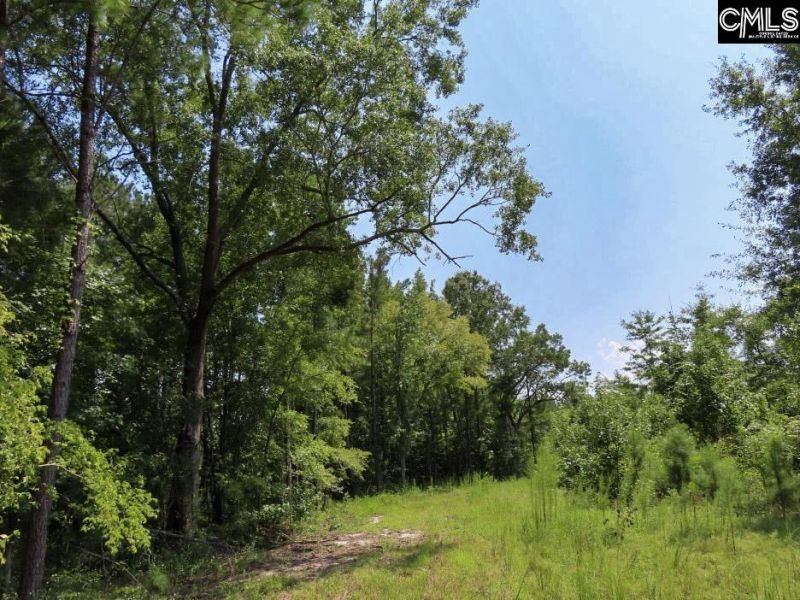 231 Ault Road Photo 91