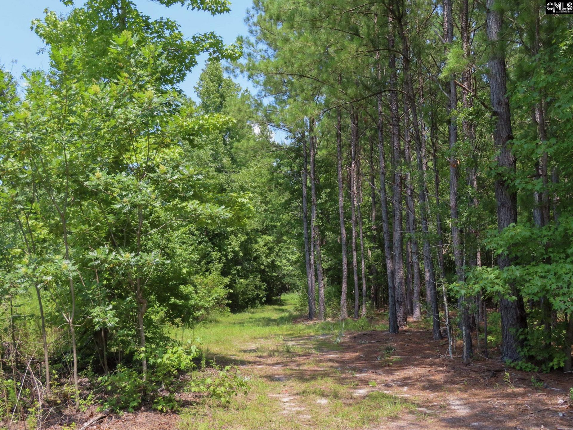 231 Ault Road Photo 92
