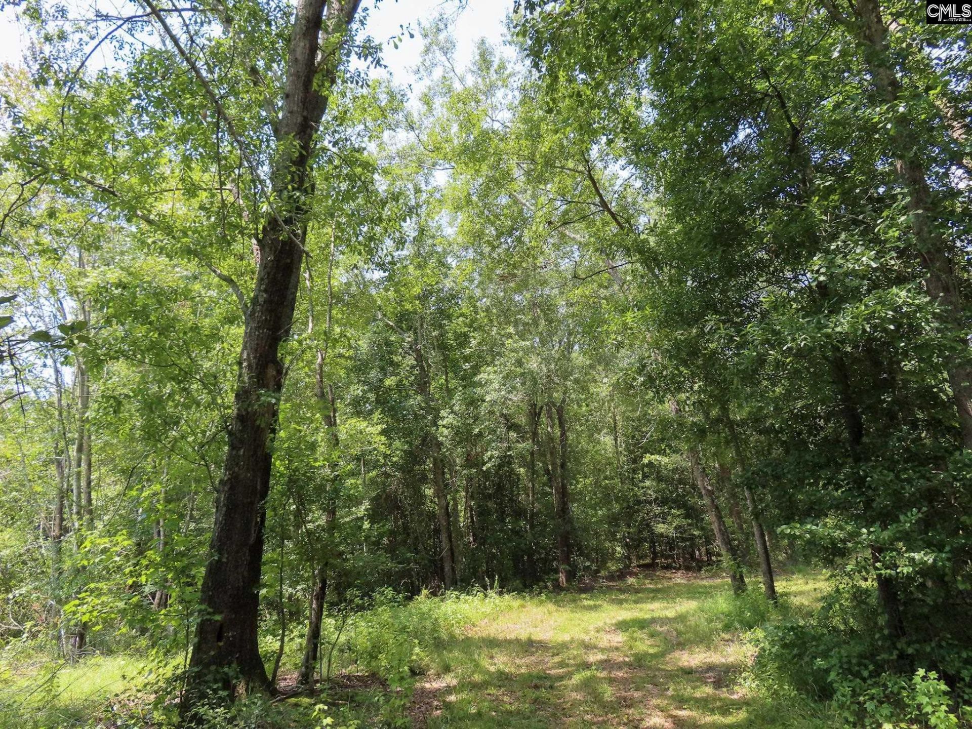 231 Ault Road Photo 95