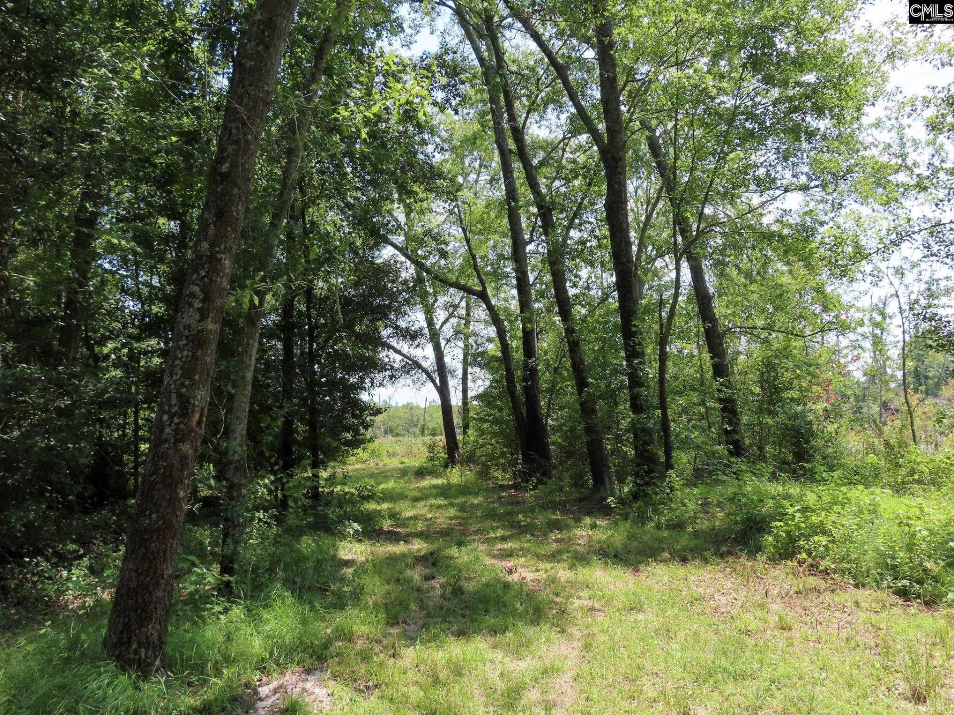 231 Ault Road Photo 96