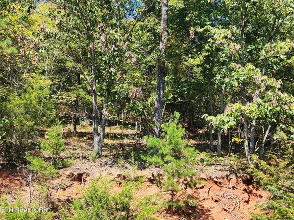 lot 609 Chimney Rock Rd, New Tazewell, TN 37825
