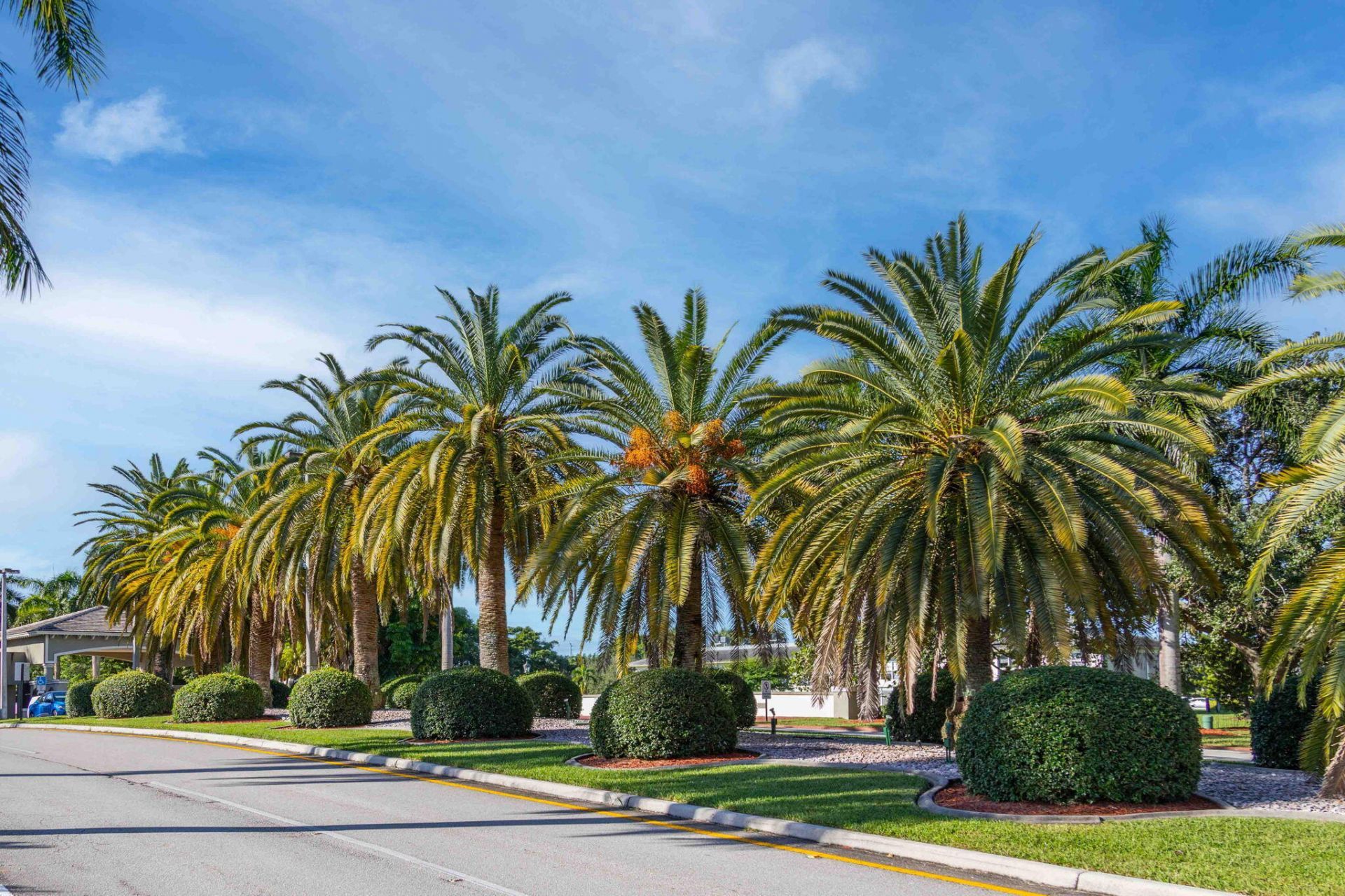 1604 Abaco Drive, Unit D1, Coconut Creek, FL 33066 Photo