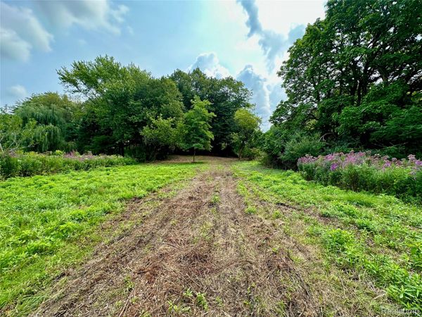0 Latson Road, Oceola Township, Mi 48843