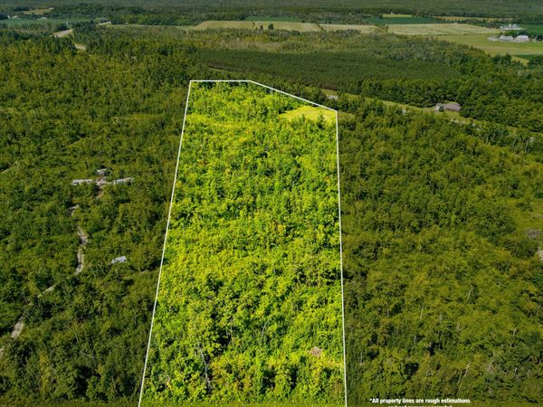 V/L 10 AC Farrier Road, Hillman, MI 49746