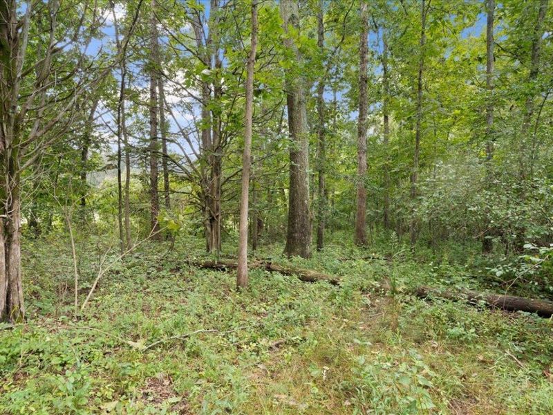 8525 Dunham Road, Washington Township, OH 45133 Photo 30