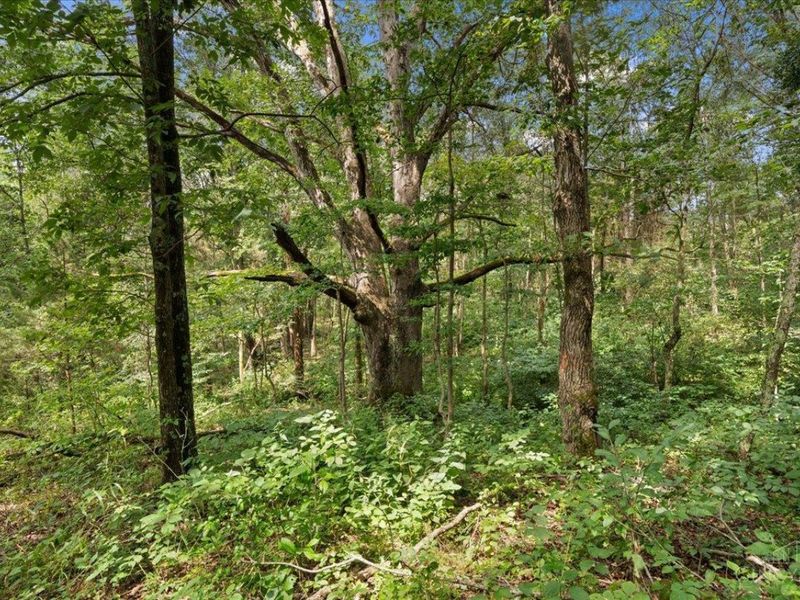 8525 Dunham Road, Washington Township, OH 45133 Photo 32