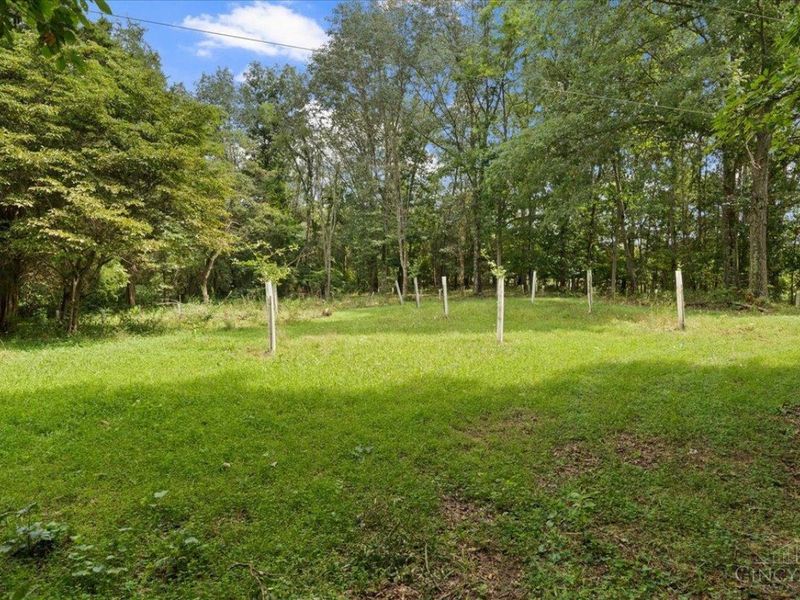 8525 Dunham Road, Washington Township, OH 45133 Photo 33