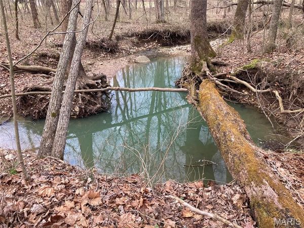 50.15 +/- Acres Pendleton Lost Creek Road , Warrenton, MO 63383