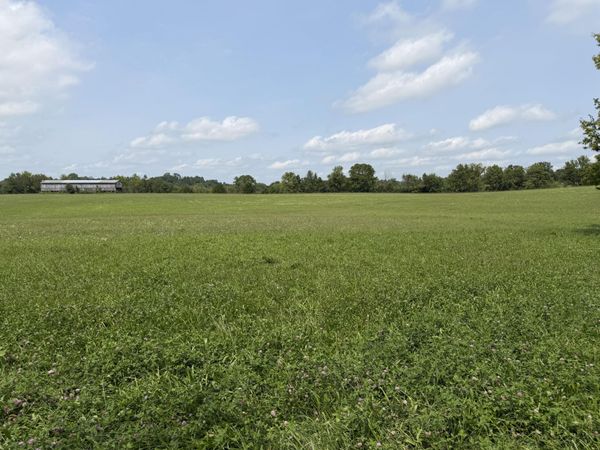277 Robinson Road, Cynthiana, KY 41031