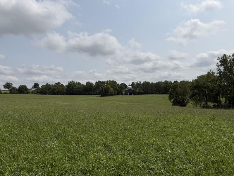 277 Robinson Road, Cynthiana, KY 41031 Photo 11