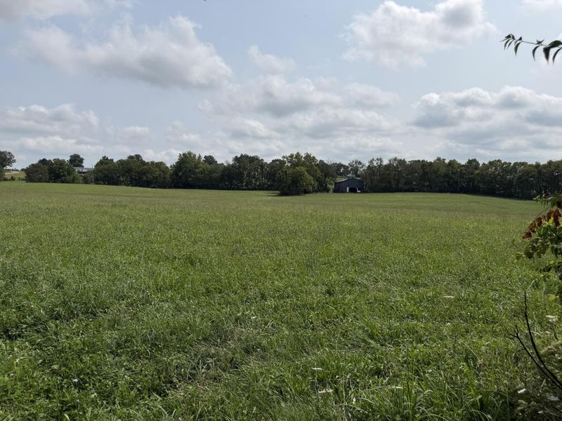 277 Robinson Road, Cynthiana, KY 41031 Photo 13