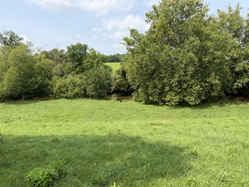 277 Robinson Road, Cynthiana, KY 41031 Photo 14