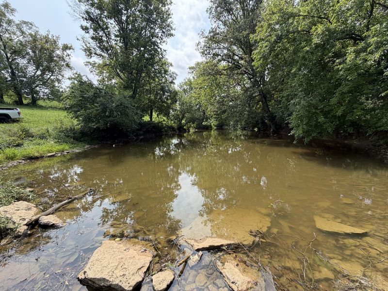277 Robinson Road, Cynthiana, KY 41031 Photo 17