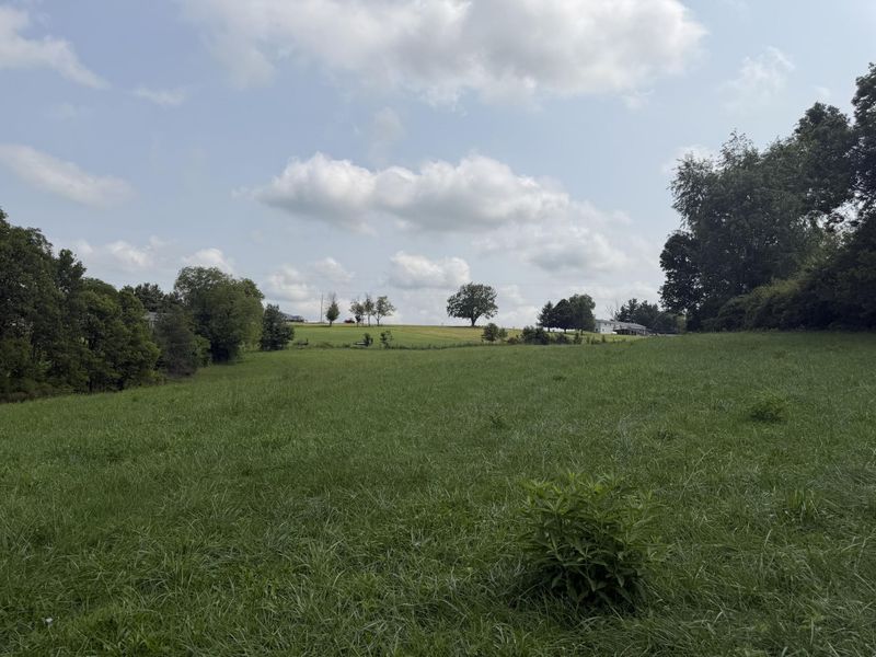 277 Robinson Road, Cynthiana, KY 41031 Photo 18