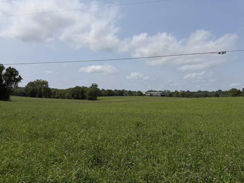 277 Robinson Road, Cynthiana, KY 41031 Photo 2