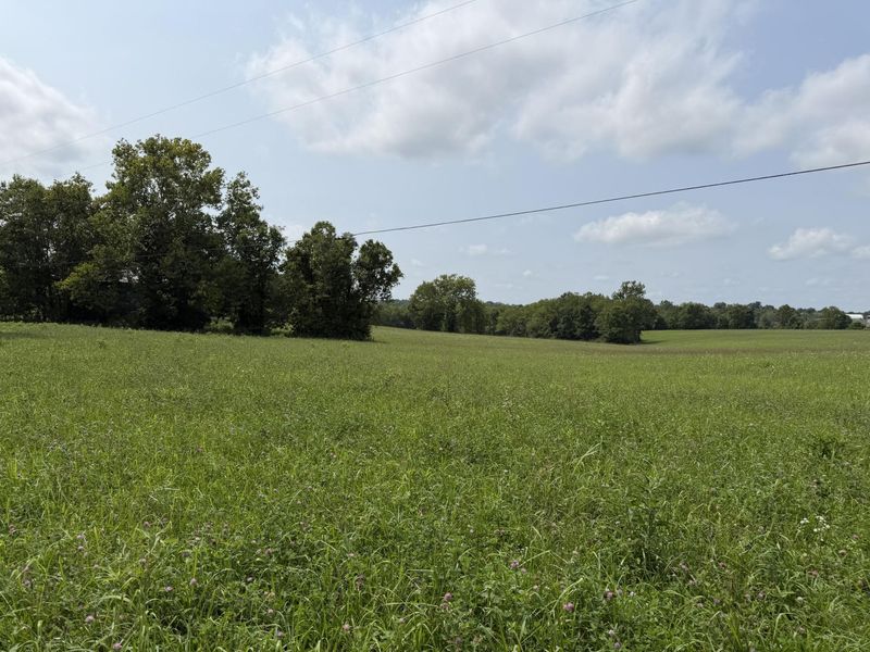 277 Robinson Road, Cynthiana, KY 41031 Photo 3