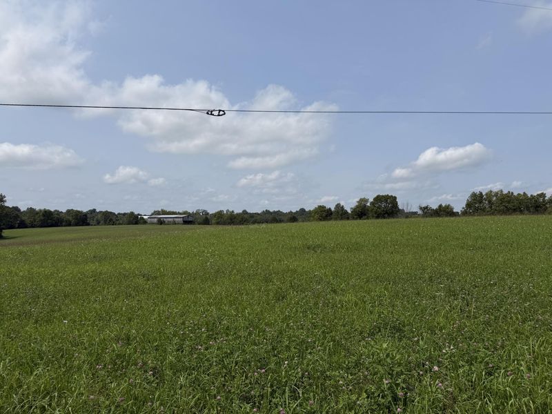 277 Robinson Road, Cynthiana, KY 41031 Photo 4