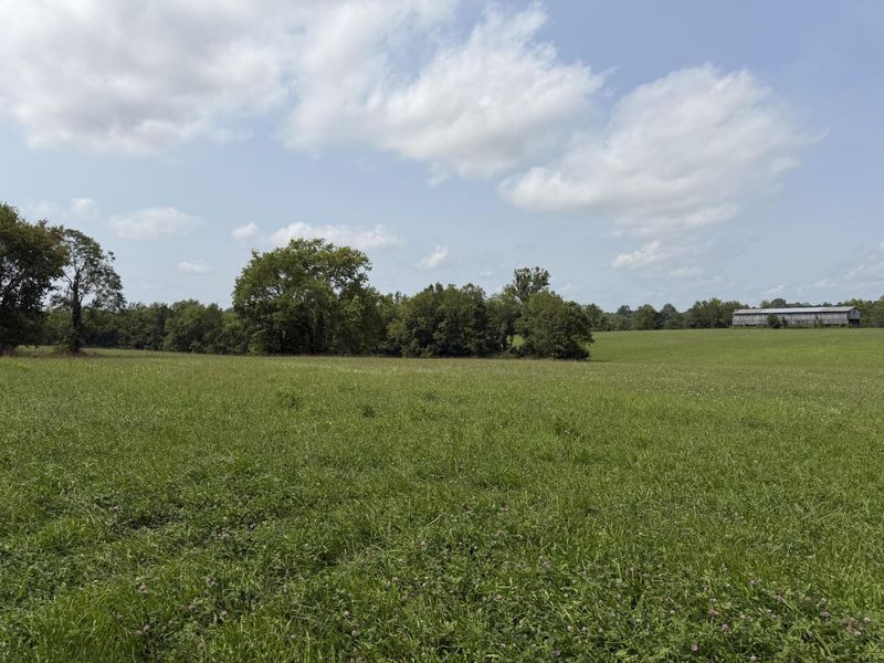 277 Robinson Road, Cynthiana, KY 41031 Photo 6