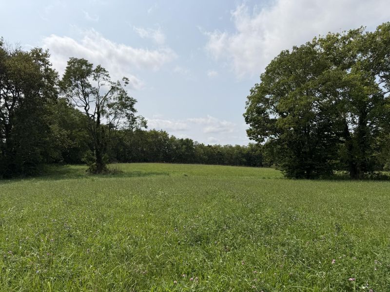 277 Robinson Road, Cynthiana, KY 41031 Photo 7