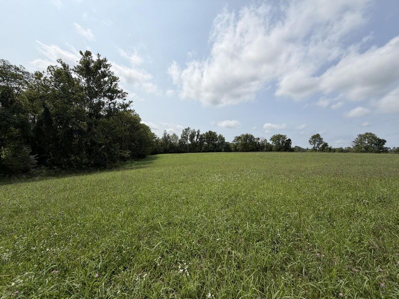 277 Robinson Road, Cynthiana, KY 41031 Photo 9