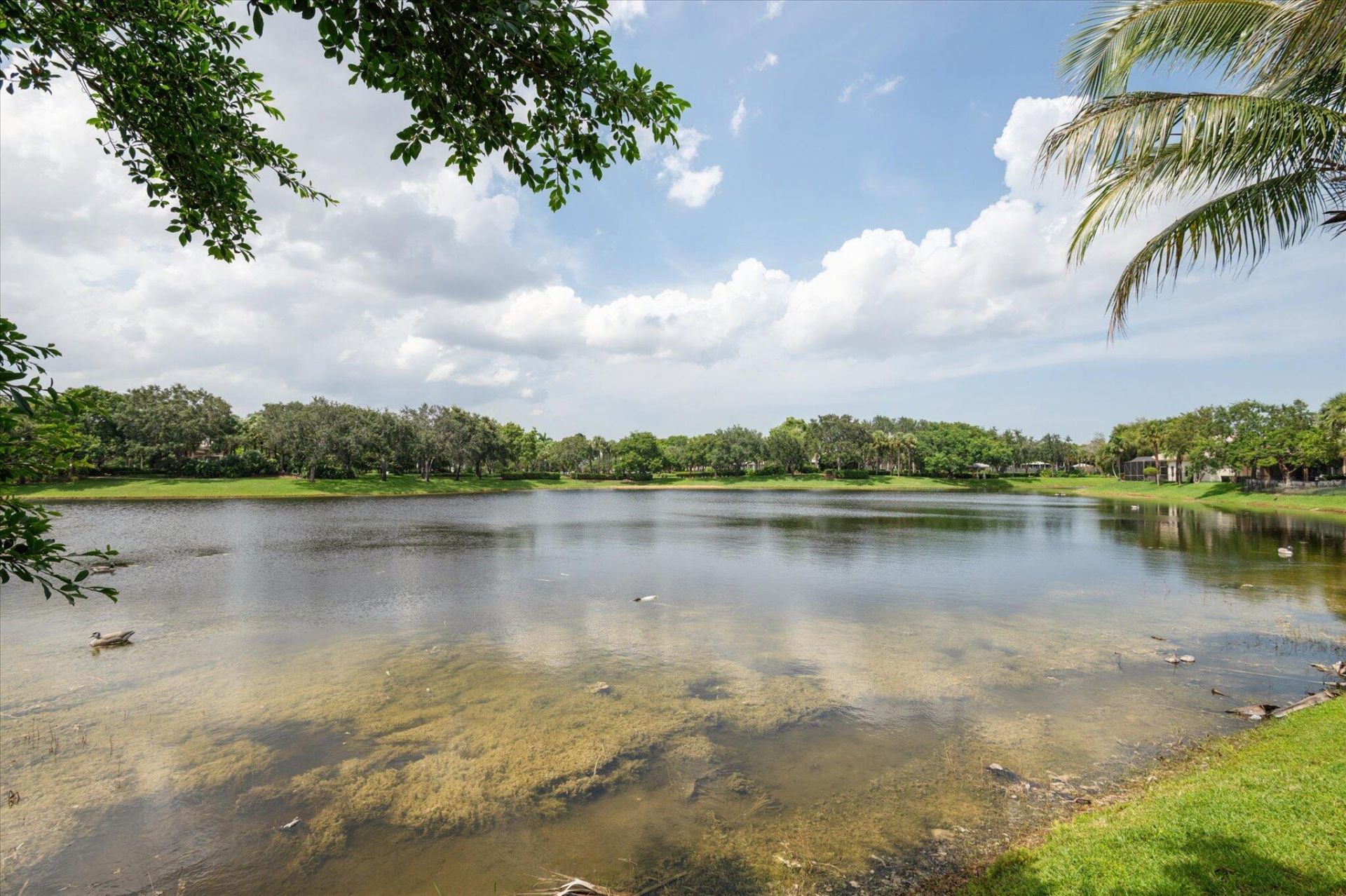 11289 NW 65th Manor, Parkland, FL 33076 Photo