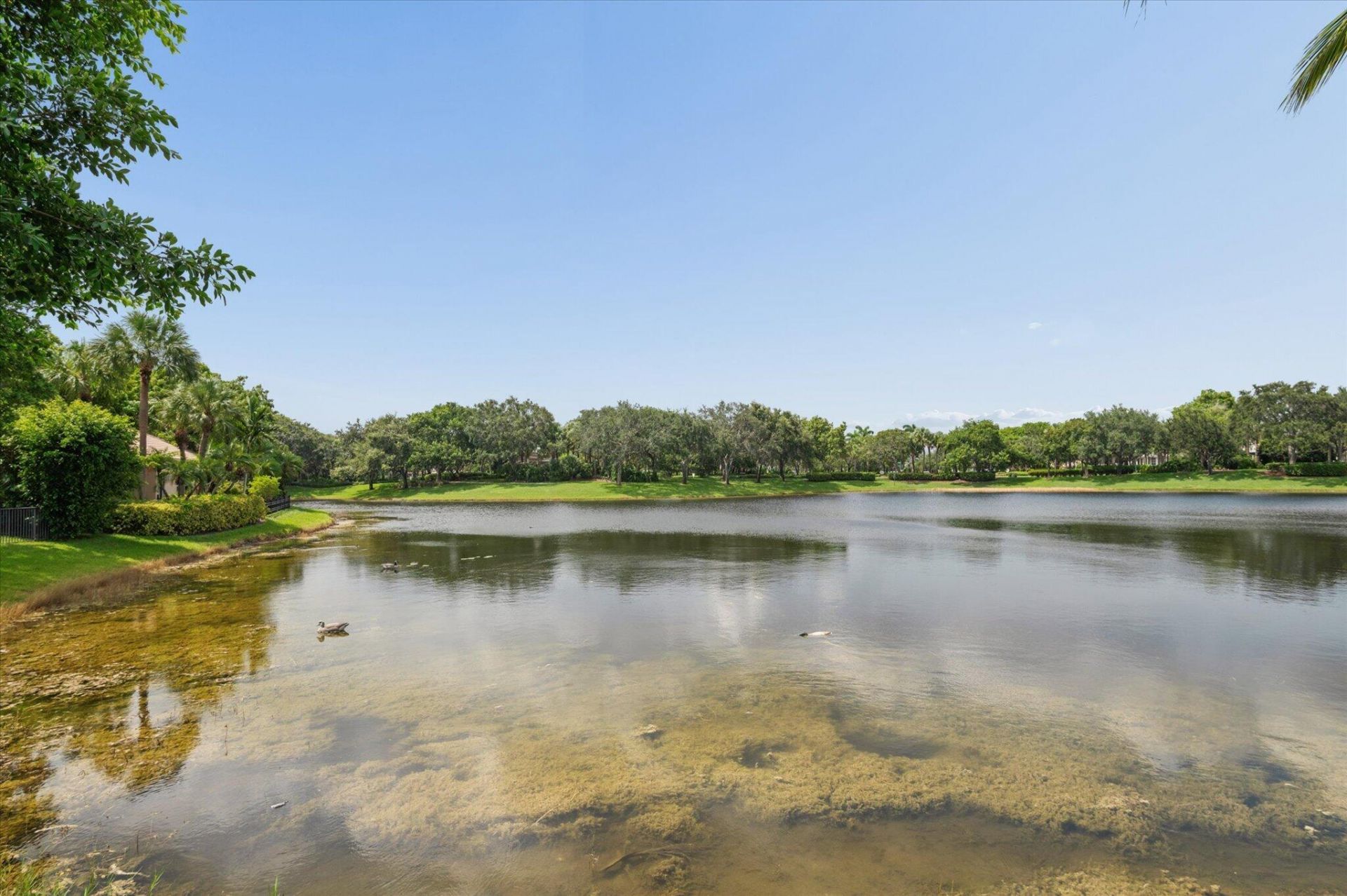 11289 NW 65th Manor, Parkland, FL 33076 Photo