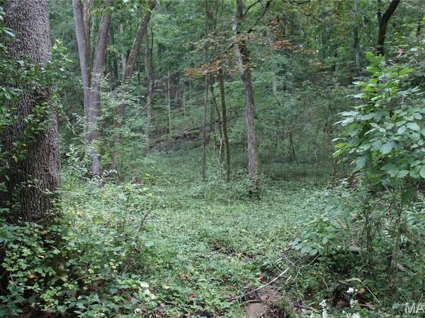 6.72 +/- Acres Pendleton Lost Creek Road , Warrenton, MO 63383