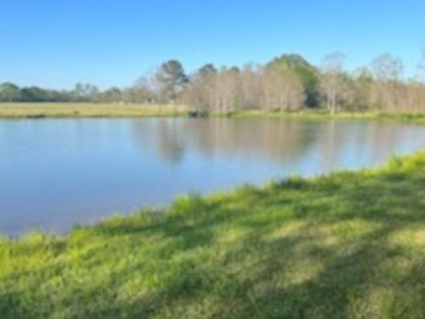 TBD La Hwy 958, Slaughter, LA 70777