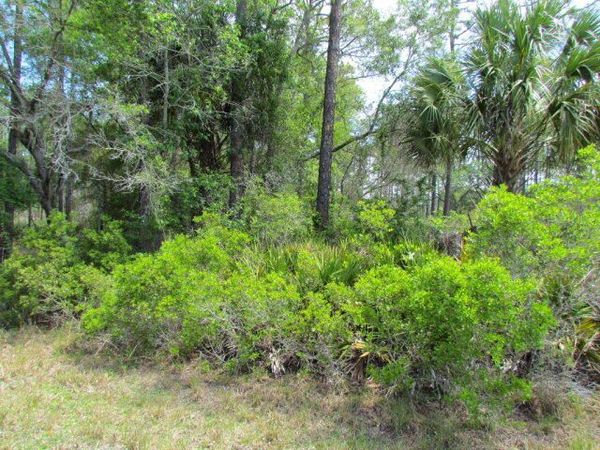TBD SE US Hwy 19, Inglis, FL 34449