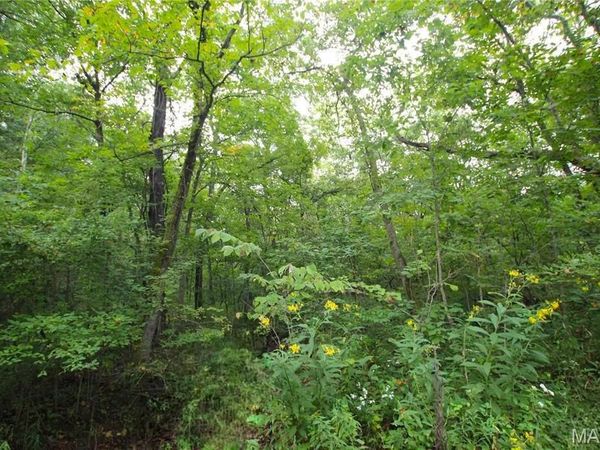 4.14 +/- Acres Pendleton Lost Creek Road , Warrenton, MO 63383
