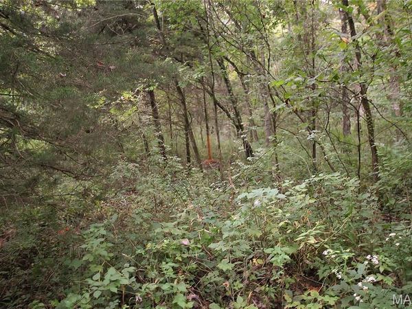 4.65 +/- Acres Pendleton Lost Creek Road , Warrenton, MO 63383