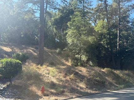 2750 Bedford Ave, Placerville, CA 95667 Photo