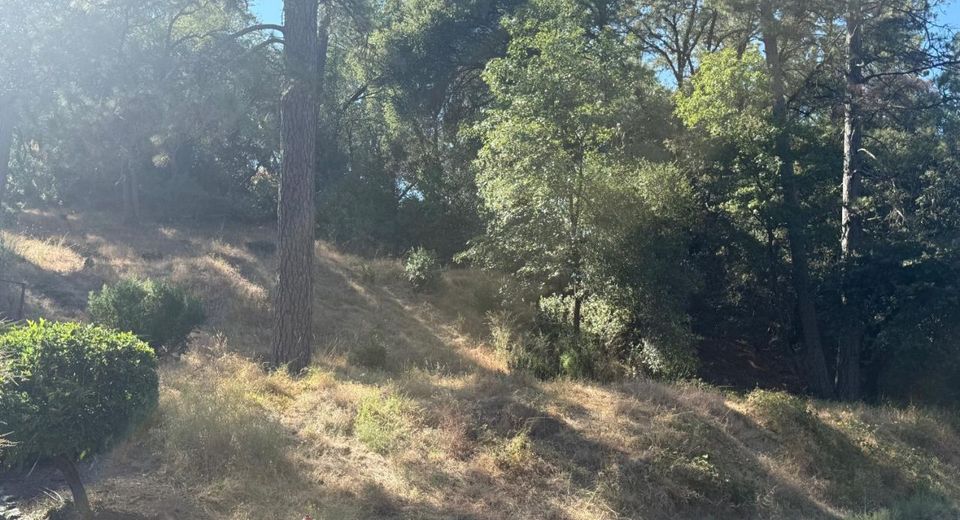 2750 Bedford Ave, Placerville, CA 95667 Photo