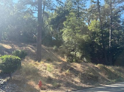 2750 Bedford Ave, Placerville, CA 95667 Photo