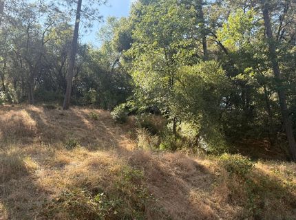 2750 Bedford Ave, Placerville, CA 95667 Photo
