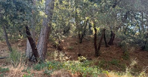 2750 Bedford Ave, Placerville, CA 95667 Photo