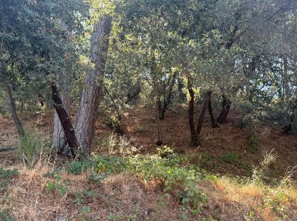 2750 Bedford Ave, Placerville, CA 95667 Photo