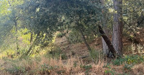 2750 Bedford Ave, Placerville, CA 95667 Photo