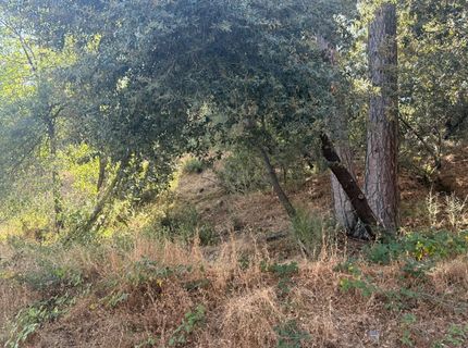 2750 Bedford Ave, Placerville, CA 95667 Photo
