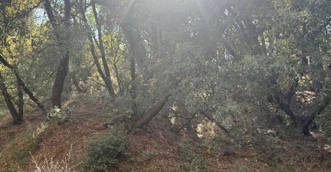 2750 Bedford Ave, Placerville, CA 95667 Photo