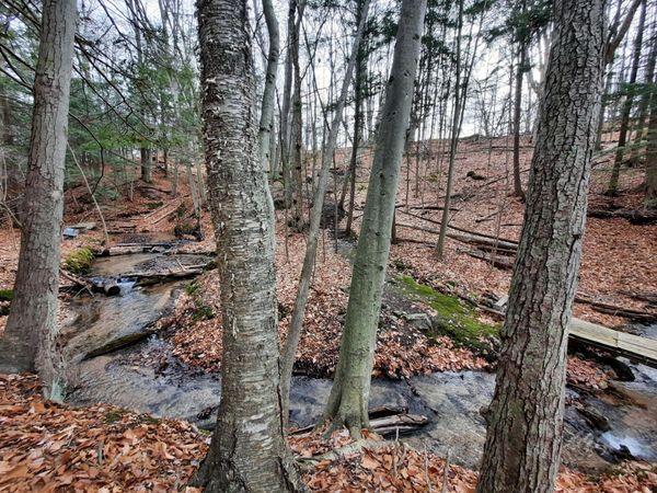 8 ACRES, Third Street, Onekama, MI 49675